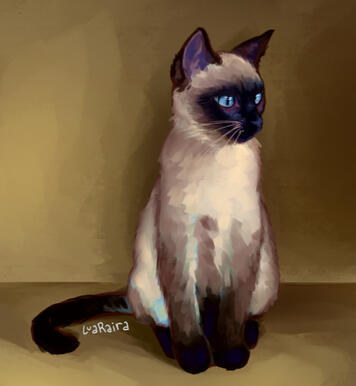 Animal